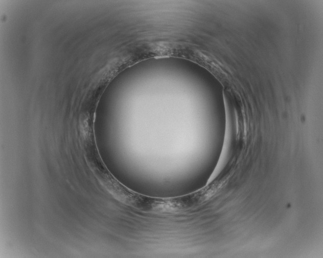 X0000073450611200608041029