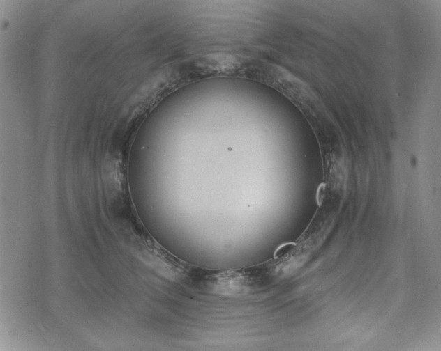 X0000073450612200608041029