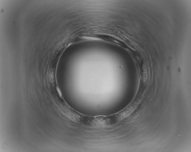 X0000073450613200608041029