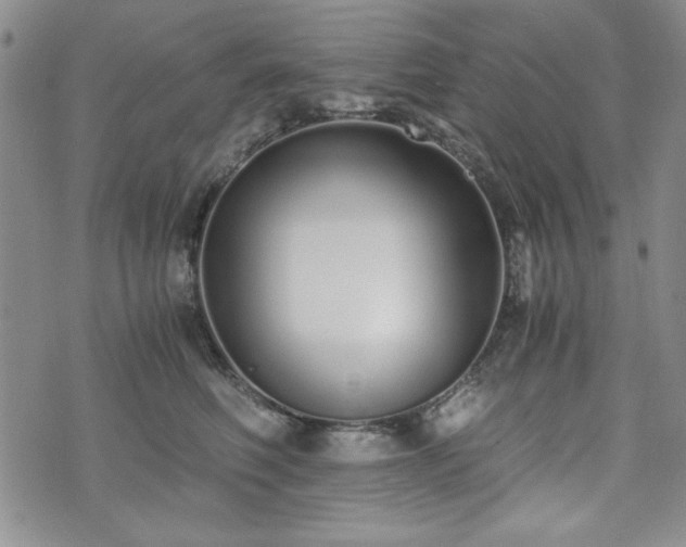 X0000073450614200608041029