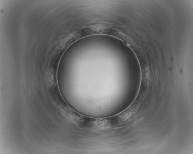 X0000073450615200608041029