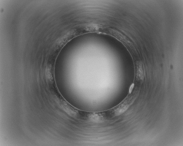 X0000073450616200608041029