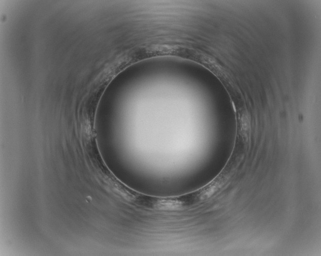 X0000073450617200608041029