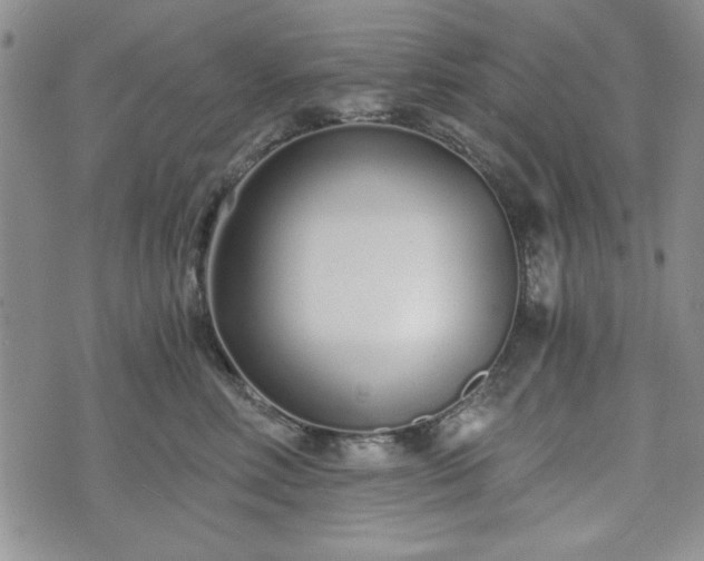 X0000073450618200608041029