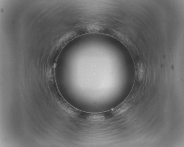 X0000073450619200608041029