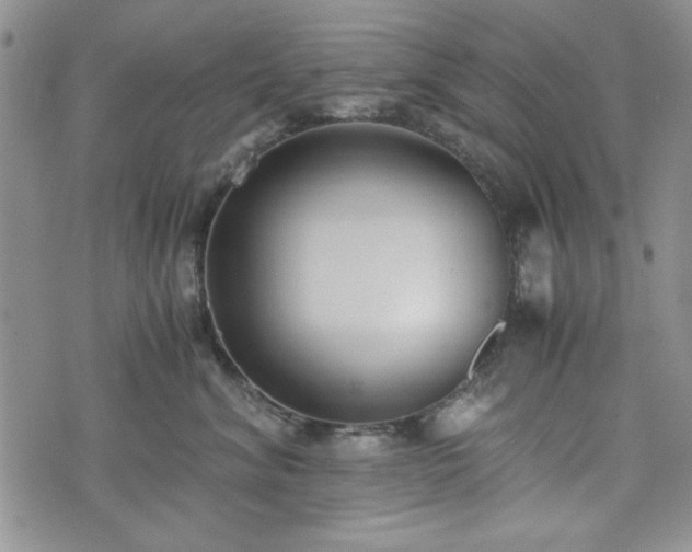 X0000073450620200608041029