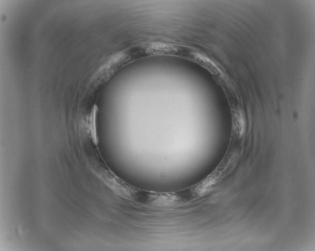 X0000073450621200608041029