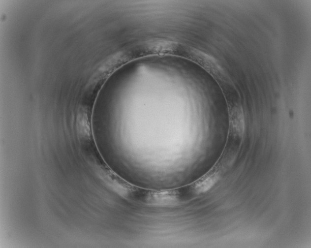 X0000073450622200608041029