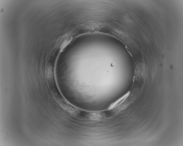 X0000073450623200608041029