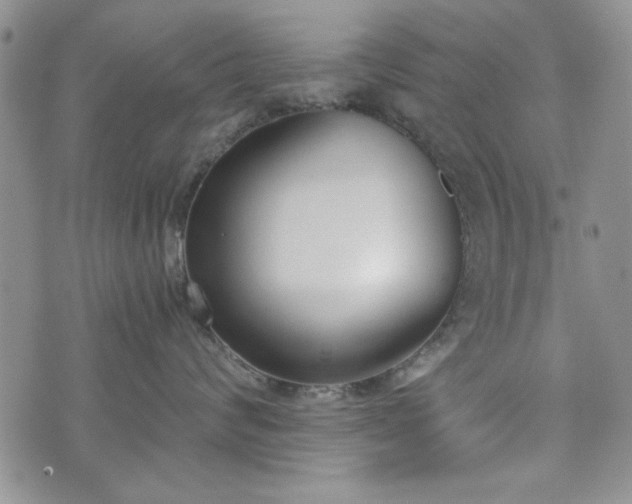 X0000073450624200608041029