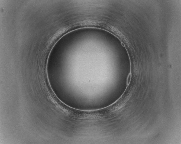 X0000073450625200608041028