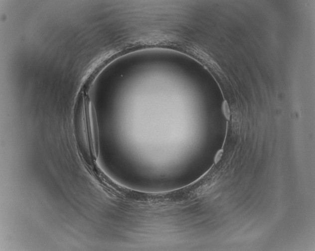 X0000073450626200608041028