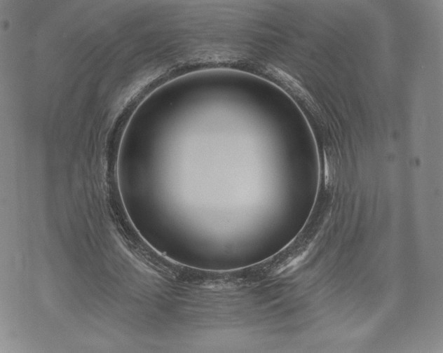 X0000073450627200608041028