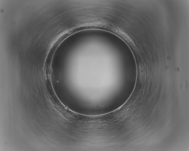 X0000073450628200608041028