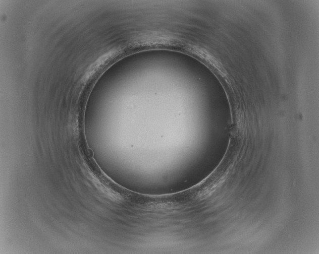 X0000073450629200608041028