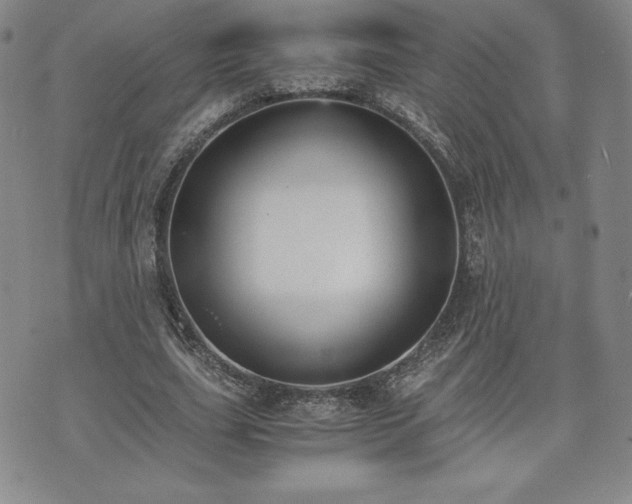 X0000073450631200608041028