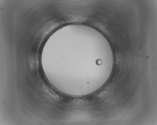 X0000073450632200608041028