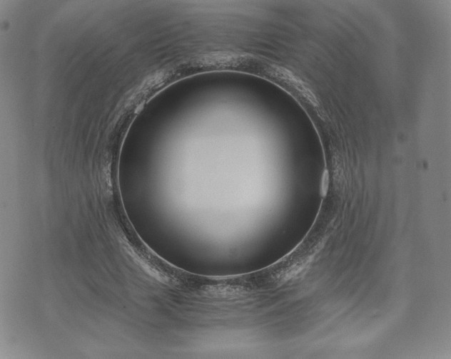 X0000073450633200608041028