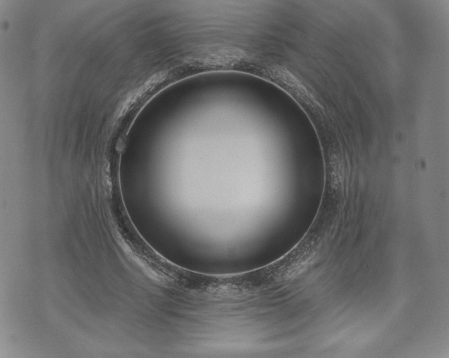 X0000073450634200608041028