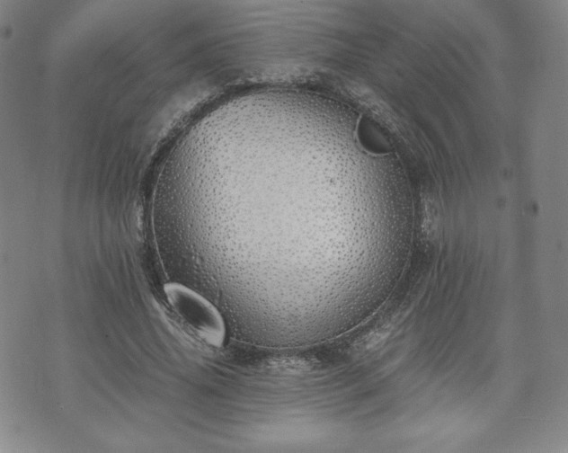 X0000073450636200608041028