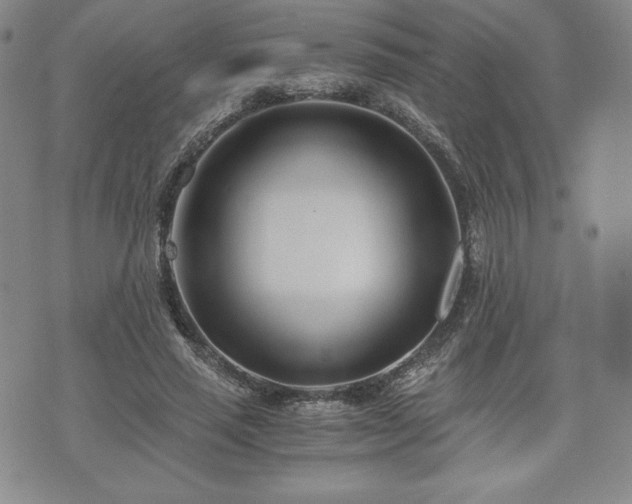 X0000073450637200608041028