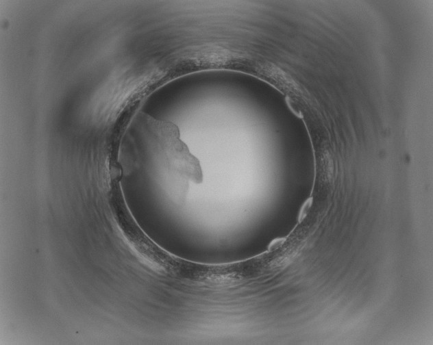 X0000073450638200608041028