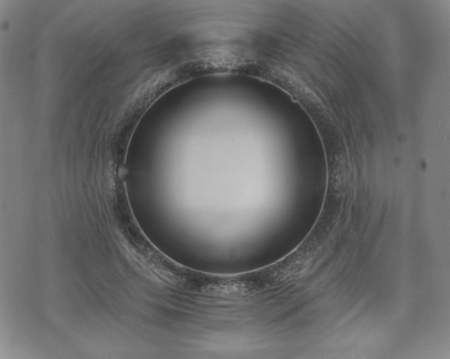 X0000073450639200608041028