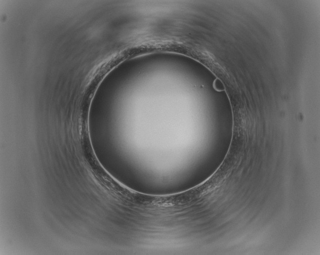 X0000073450640200608041028