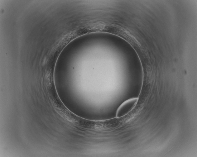 X0000073450641200608041028