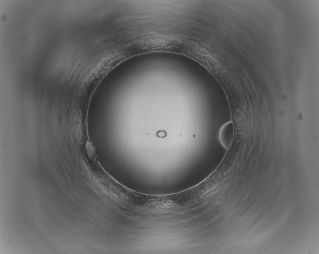 X0000073450642200608041029