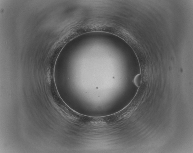 X0000073450644200608041029