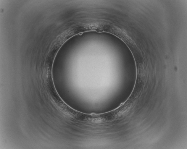 X0000073450645200608041029