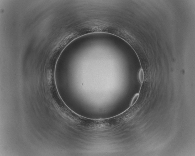 X0000073450646200608041029