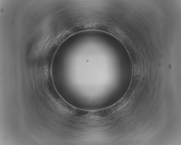 X0000073450648200608041029