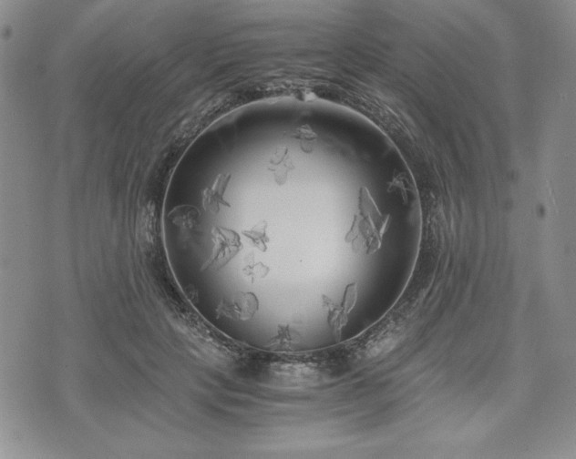 X0000073450649200608041029