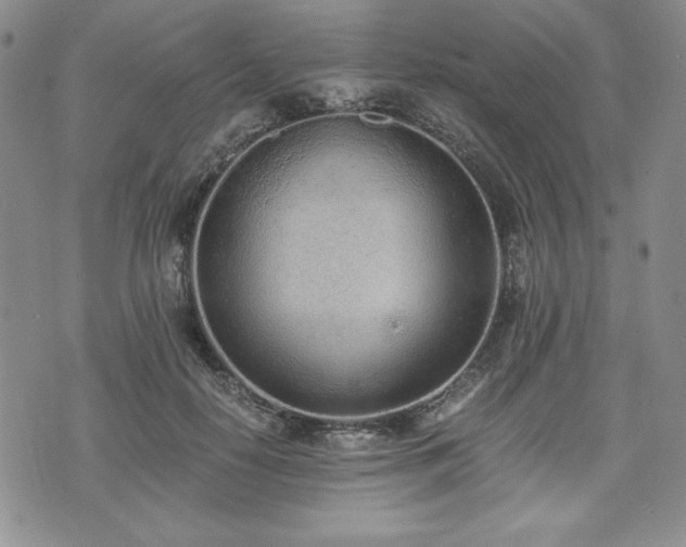 X0000073450650200608041029