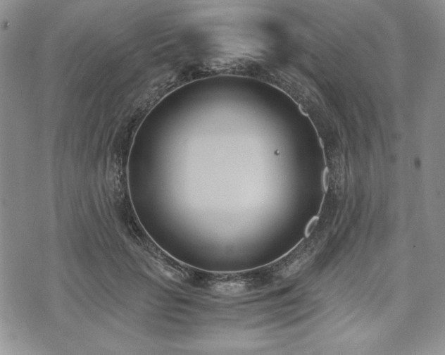 X0000073450653200608041029