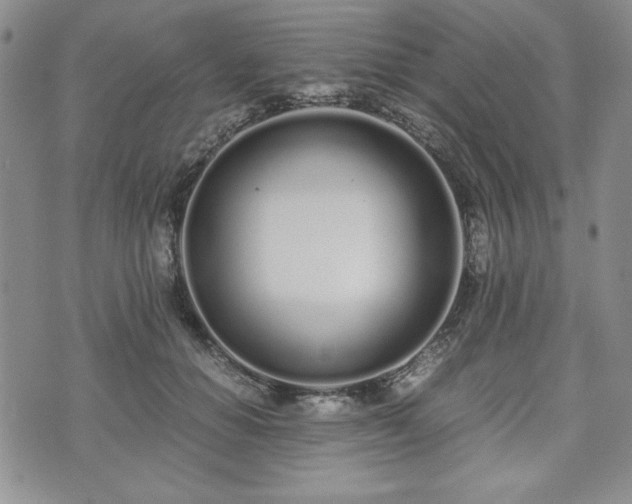 X0000073450654200608041029