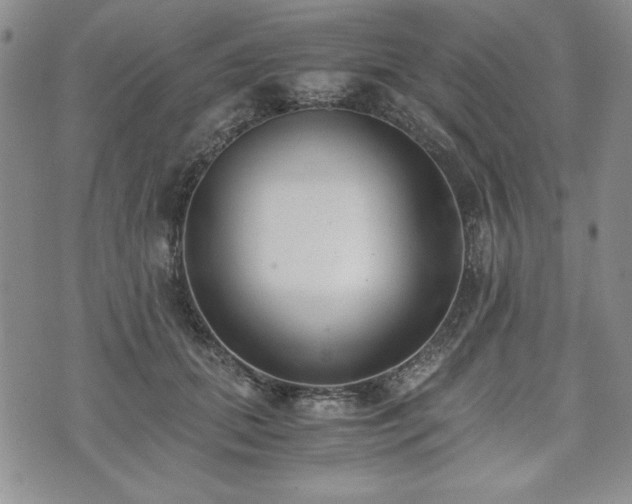 X0000073450655200608041029