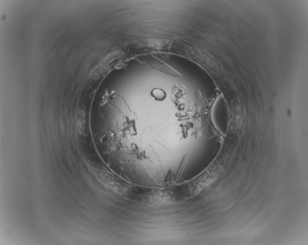 X0000073450656200608041029