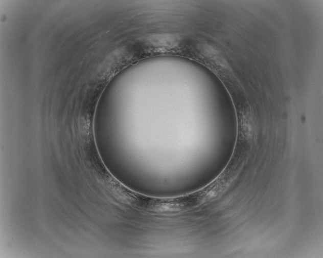 X0000073450657200608041029