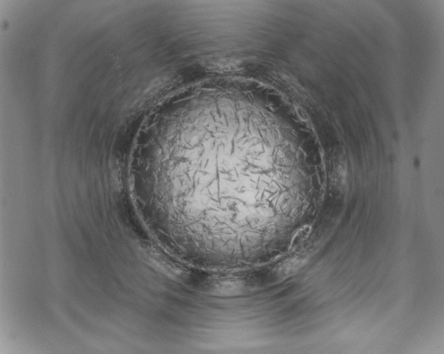 X0000073450658200608041029