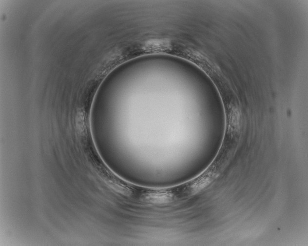 X0000073450659200608041029