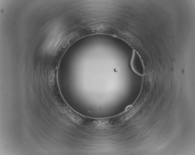 X0000073450660200608041029