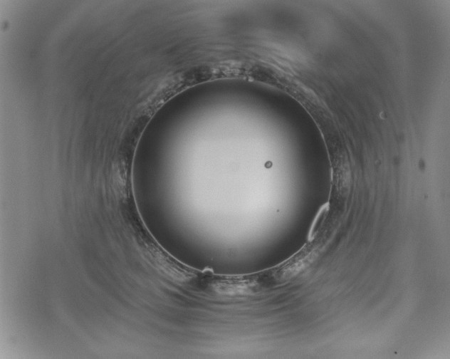 X0000073450661200608041029