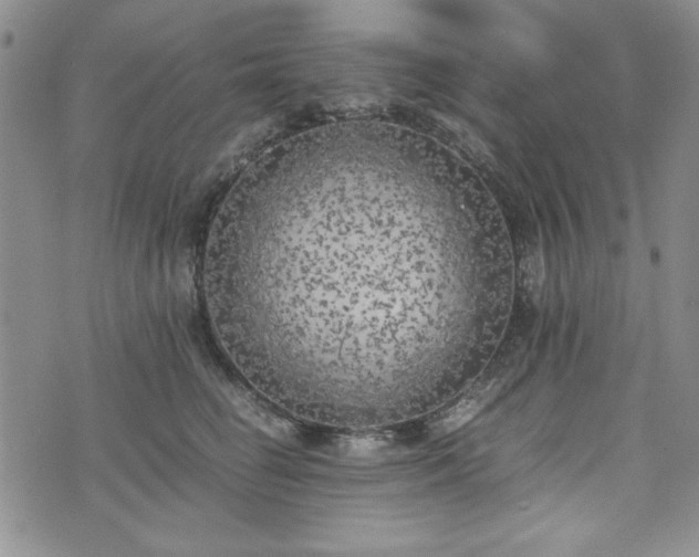 X0000073450662200608041029