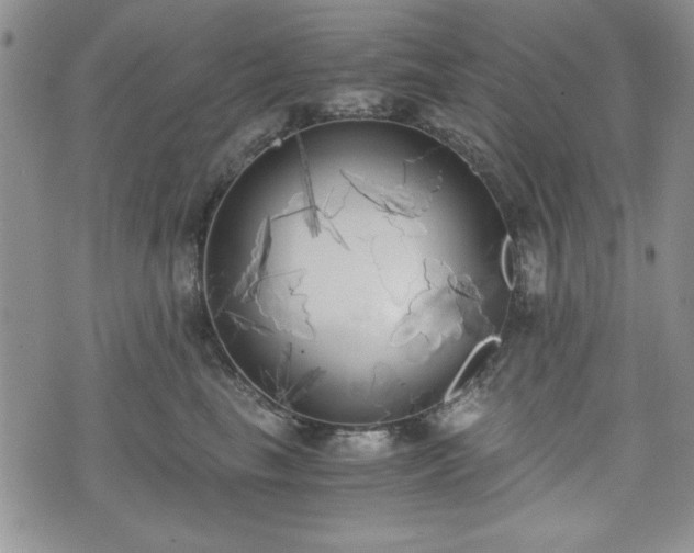 X0000073450665200608041029