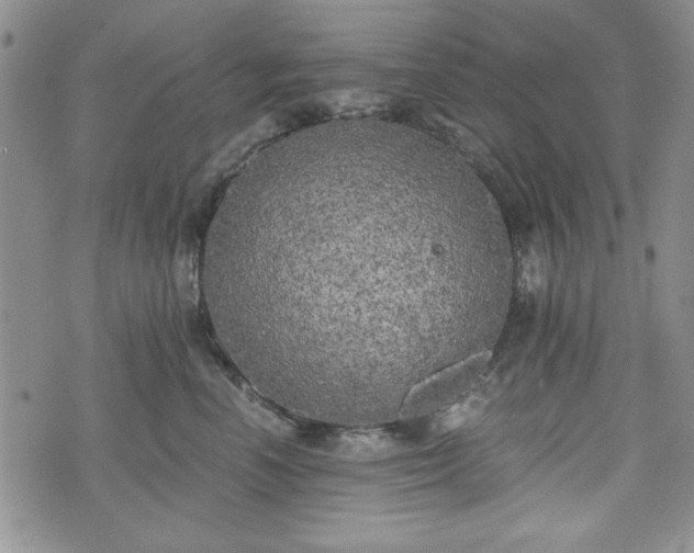 X0000073450666200608041029