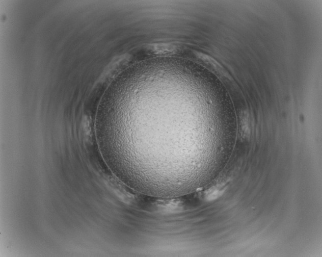 X0000073450667200608041029