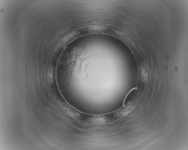 X0000073450668200608041029